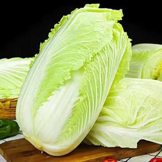 有机大白菜 1kg/份 商品图0
