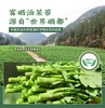 市面上少见的恩施富硒油菜苔 头茬上市 鲜甜嫩爽 富含硒 商品缩略图5