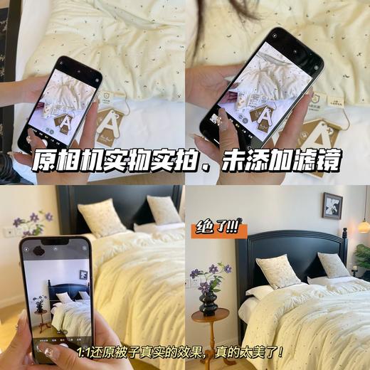 【宜家同款大豆棉被】A类母婴级整张大豆纤维填充！超柔软高回弹高颜值冬被！ 商品图5