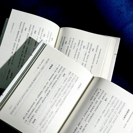 词海评林 明代词谱代表 分调辑录及再汇总 [明]毛晋 商品图13