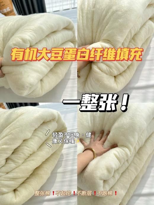 【宜家同款大豆棉被】A类母婴级整张大豆纤维填充！超柔软高回弹高颜值冬被！ 商品图6