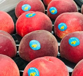 澳洲水蜜桃，软硬皆宜，硬果脆甜有韧劲，软了之后吃起来口感绝佳，蜜糯柔，水分足，细腻到入口即化，悠悠回味～