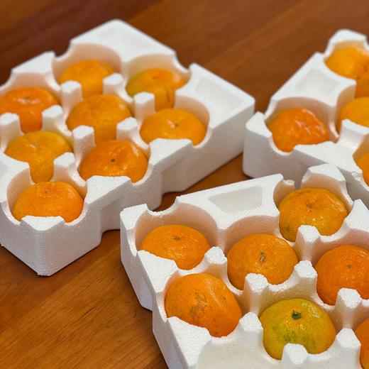 【正宗临海涌泉蜜桔】【老树果】2025年新鲜采摘国家地理标志产品  天下一奇，吃桔带皮，临海被誉为“江南桔乡”“无核蜜橘之乡” 商品图4