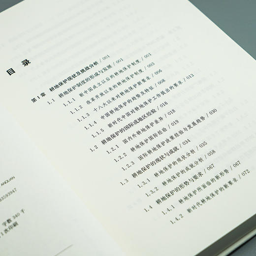 面向2035的中国耕地保护与粮食安全   全书彩印  黄贤金、漆信贤、王庆宾、钟太洋 等著 商品图3
