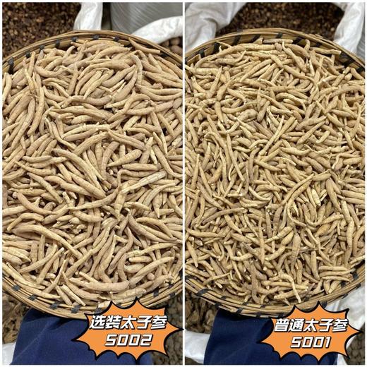 太子参 常用规格 选装货 条匀净 商品图0
