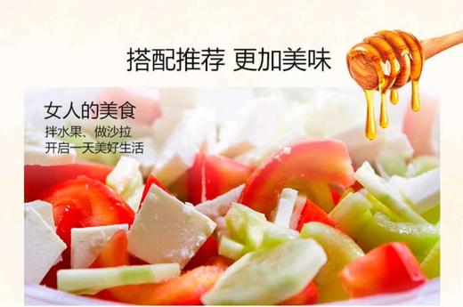 【蜜乐】槐花/野酸枣/益母草蜂蜜 500g/瓶 商品图2