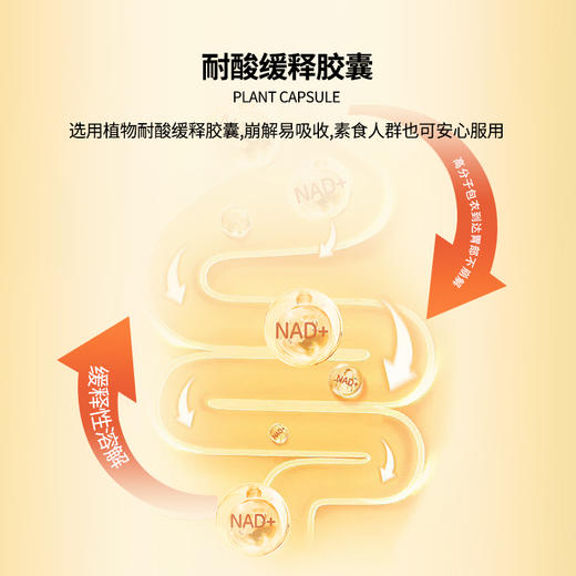 【临期清仓】日本原产 NMN renage® PLATINUMINFINITY POWER18000 SUPPLEMENT 效期至5月份 商品图3