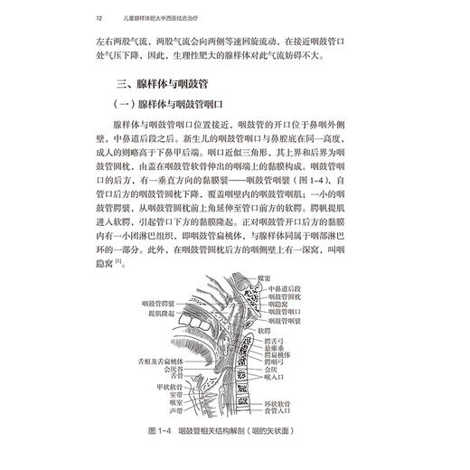 儿童腺样体肥大中西医结合治疗 编孙书臣 肖水芳 腺样体及周围相关结构的解剖 腺样体相关生理组织病理学9787117368902人民卫生出版社 商品图3