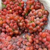 精品克伦生无籽红提 |水果 商品缩略图2