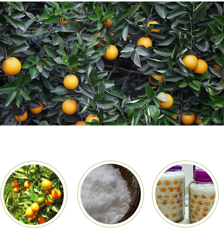 咸金桔（瓶装） (3).jpg