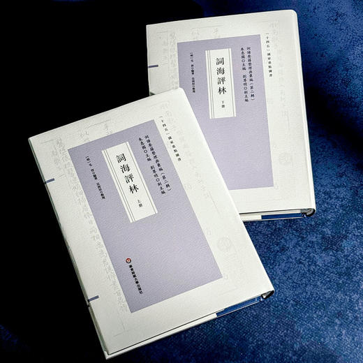 词海评林 明代词谱代表 分调辑录及再汇总 [明]毛晋 商品图5