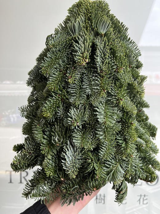 圣诞花材-【圣诞树】（30cm）*单独发货 商品图2