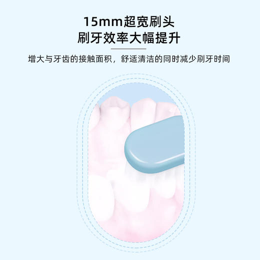 研白 【独立刷头】 宽头软毛护龈牙刷 8支装/桶 商品图1