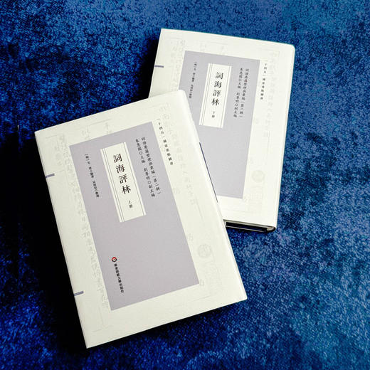 词海评林 明代词谱代表 分调辑录及再汇总 [明]毛晋 商品图3