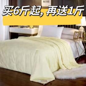 桑蚕丝被纯手工定制，48小时内发货（广东省外不包邮)【国sir严选】【XLYS】