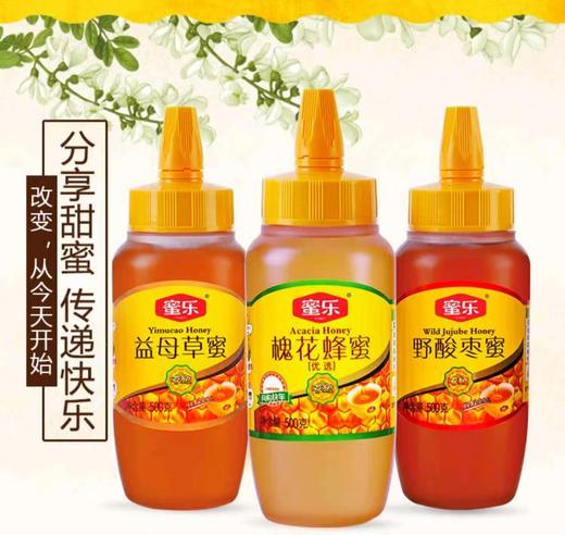 【蜜乐】槐花/野酸枣/益母草蜂蜜 500g/瓶 商品图0