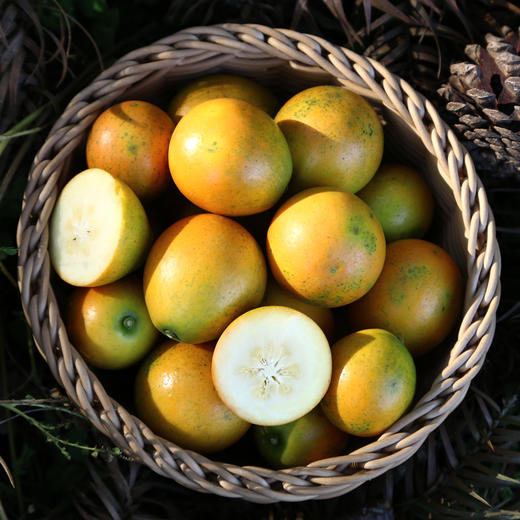 ⁴ 广西• 融安滑皮金桔【喉咙不舒服多吃点】香甜肉嫩 颠覆传统金桔口感 桔香味浓 可洗干净连着皮一起吃YC04-CR-NDDS 商品图4