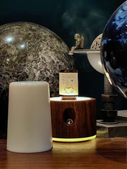 猫太推荐---AyuSkAma冷香仪 商品图0