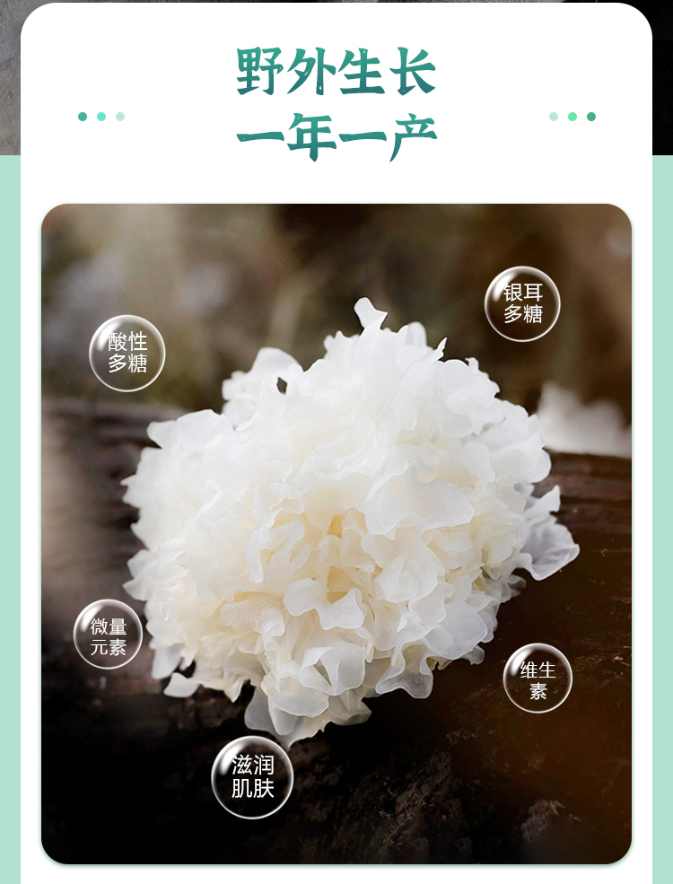 椴木银耳正宗四川通江野生椴木银耳干货白木耳100g