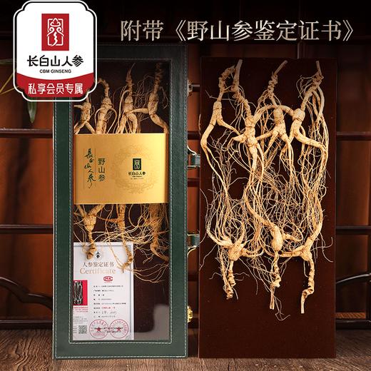 热销J【20参龄野山参开窗礼盒】长白山人参野山参权威证书送长辈礼品50g 商品图0