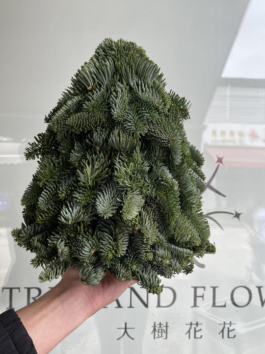 圣诞花材-【圣诞树】（30cm）*单独发货 商品图0
