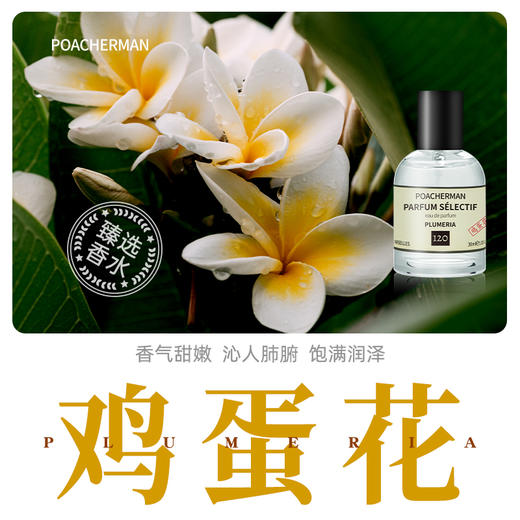 柏世曼鸡蛋花香水 缅栀花香调女士香水持久留香甜美少女淡雅香氛 商品图0