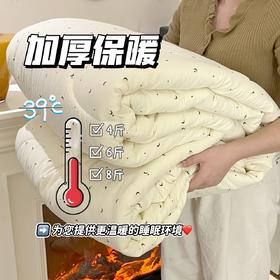 【宜家同款大豆棉被】A类母婴级整张大豆纤维填充！超柔软高回弹高颜值冬被！