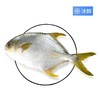 A金鲳鱼（600±50g）大 商品缩略图0