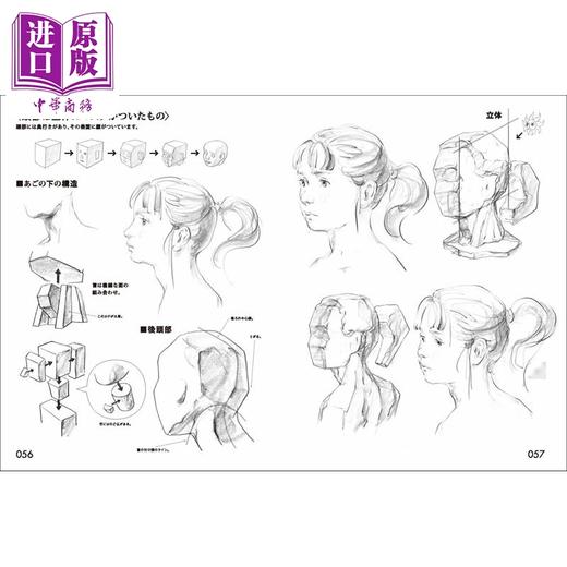 预售 【中商原版】女子动态速写 新装版 从入门到创作 漫画基础教程 日文艺术原版 新装版 画力デッサン 人体と女の子 商品图2