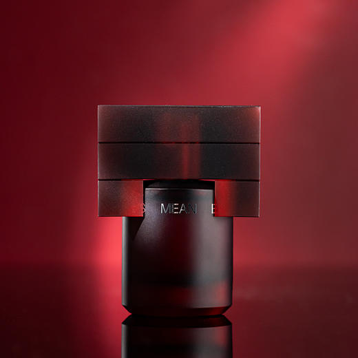 闻献 柔韧荆棘 Documents Mean 分装 【展现了柔韧的生命力，也不失刚烈的个性】 商品图3