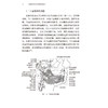儿童腺样体肥大中西医结合治疗 编孙书臣 肖水芳 腺样体及周围相关结构的解剖 腺样体相关生理组织病理学9787117368902人民卫生出版社 商品缩略图4