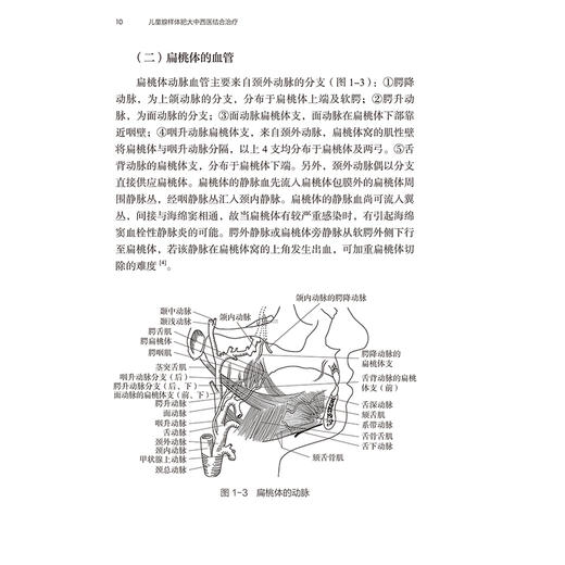 儿童腺样体肥大中西医结合治疗 编孙书臣 肖水芳 腺样体及周围相关结构的解剖 腺样体相关生理组织病理学9787117368902人民卫生出版社 商品图4