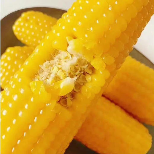 黑金糯玉米礼盒装8根 商品图8