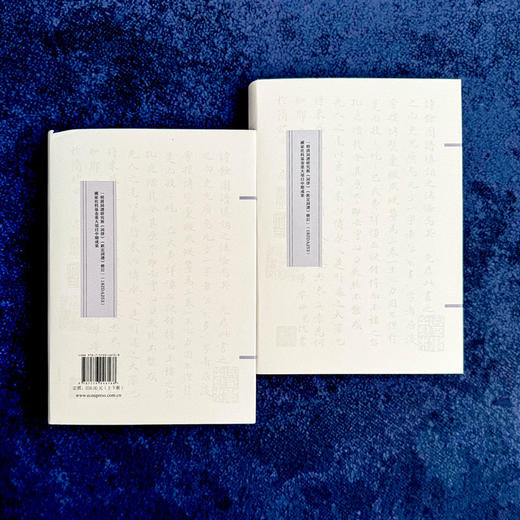 词海评林 明代词谱代表 分调辑录及再汇总 [明]毛晋 商品图2