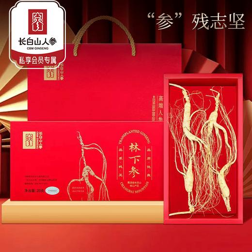热售【林下参残参礼盒】吉林长白山林下参参残志坚营养不减20g 商品图0