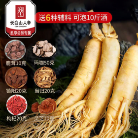 热售【酒浸保鲜参】长白山酒浸保鲜参+送6种散装泡酒材料 锁阳+鹿茸+当归+玛咖+灵芝+枸杞