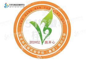 定制宝龙科技城实验学校（集团）南约小学校徽定做布标缝制包邮51