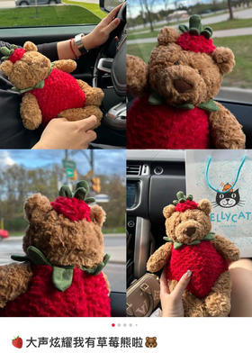 原单版本巴塞罗熊草莓装101908