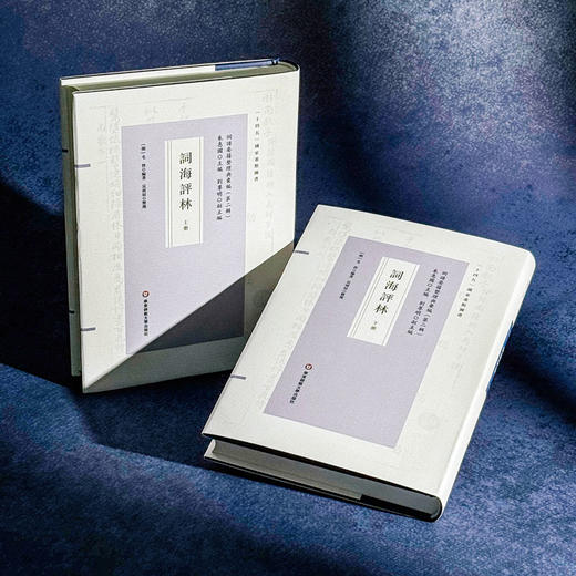 词海评林 明代词谱代表 分调辑录及再汇总 [明]毛晋 商品图4