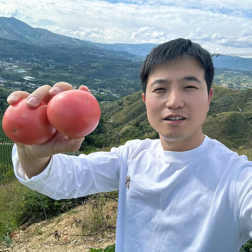 攀枝花【露天沙瓤西红柿】自然生长，无膨大剂，无激素，健康安全，沙瓤细腻，饱满多汁 ！【顺丰快递】 商品图8