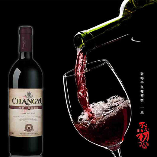张裕一星干红葡萄酒 整箱750ml*6支（裸瓶） 商品图2
