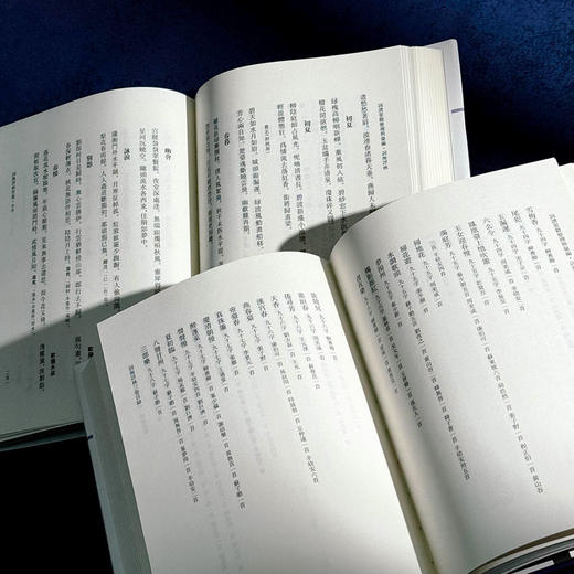 词海评林 明代词谱代表 分调辑录及再汇总 [明]毛晋 商品图11