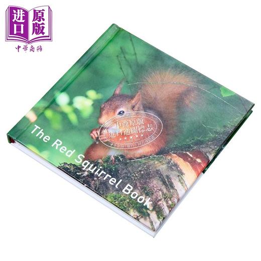 【中商原版】红松鼠之书 英文原版 The Red Squirrel Book Russ Jane 简 拉斯 科普读物 野生动物保护 精美摄影作品 商品图1