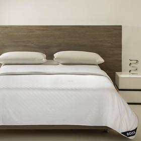 【分仓直发包邮】BOSS桑蚕丝抗菌纤维被HBCS-011