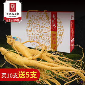 热售【保鲜参礼盒15支】长白山保鲜参正品礼盒装100g15支