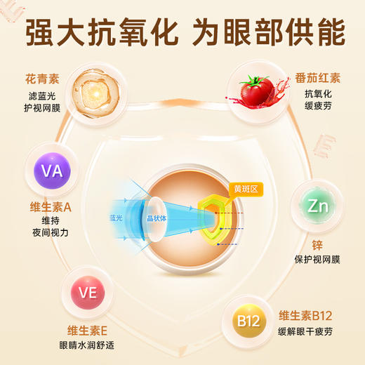 【保税】新加坡 维乐原VitaRealm儿童叶黄素蓝莓咀嚼片60粒，适合1岁以上儿童 商品图2