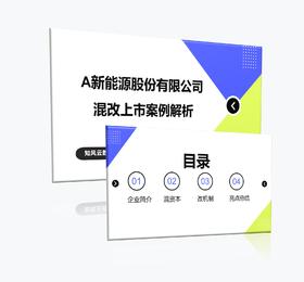 案例 | 某新能源股份有限公司混改上市案例解析（2024）