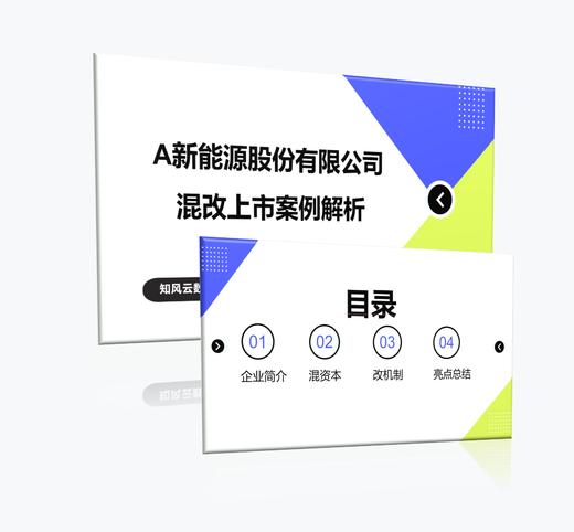 案例 | 某新能源股份有限公司混改上市案例解析（2024） 商品图0