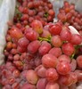 精品克伦生无籽红提 |水果 商品缩略图1
