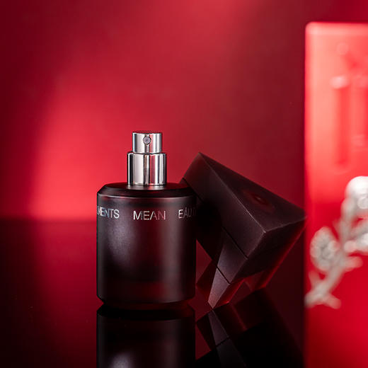 闻献 柔韧荆棘 Documents Mean 分装 【展现了柔韧的生命力，也不失刚烈的个性】 商品图2